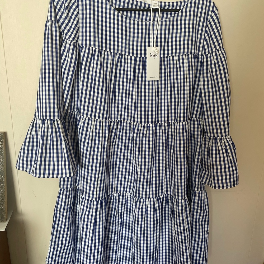 Ripe Blue Gingham Mini Dress - Picture 2 of 7